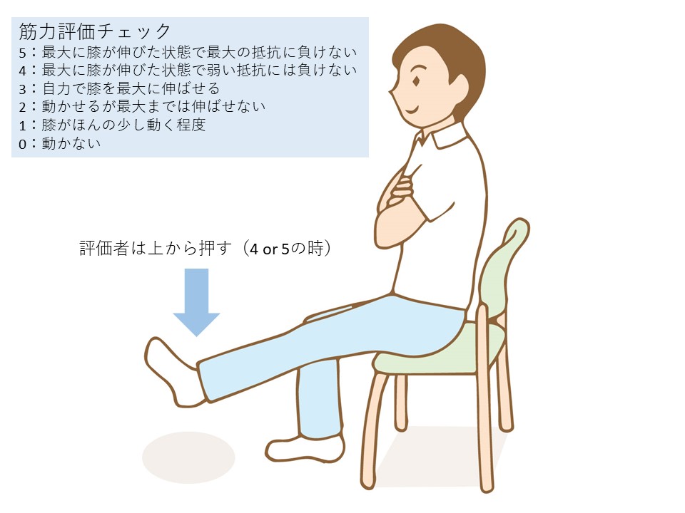 膝伸展MMT“歩行器“に必要な筋力