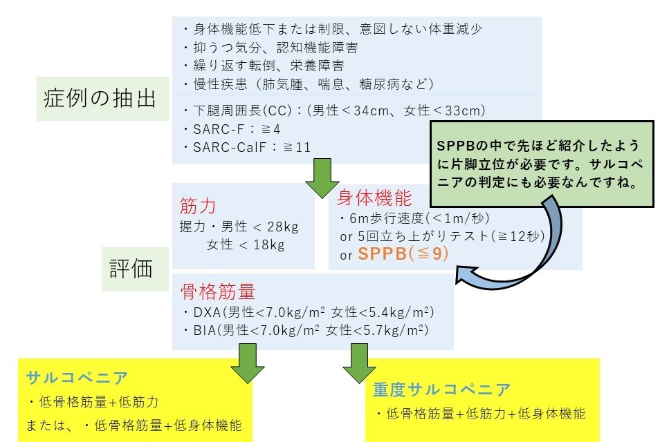 片脚立位サルコペニア